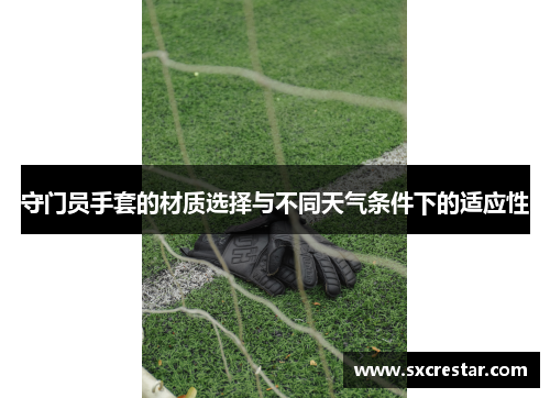 守门员手套的材质选择与不同天气条件下的适应性